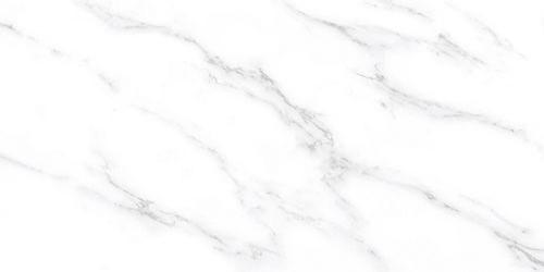 YCPB65029